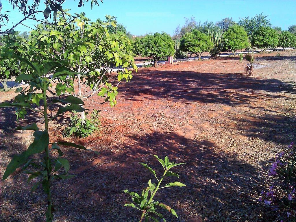 فيلا Quinta Casalinho البوفيرا المظهر الخارجي الصورة