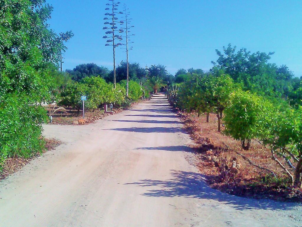 فيلا Quinta Casalinho البوفيرا المظهر الخارجي الصورة